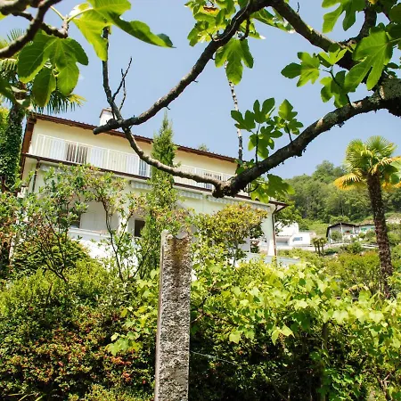 Holiday Vernice Gialla-2 Casa vacanze *