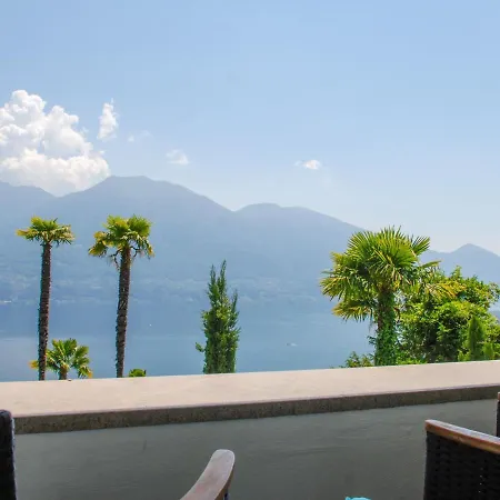 Holiday Vernice Gialla-2 *
