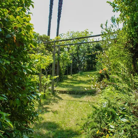 Holiday Vernice Gialla-2 Holiday home